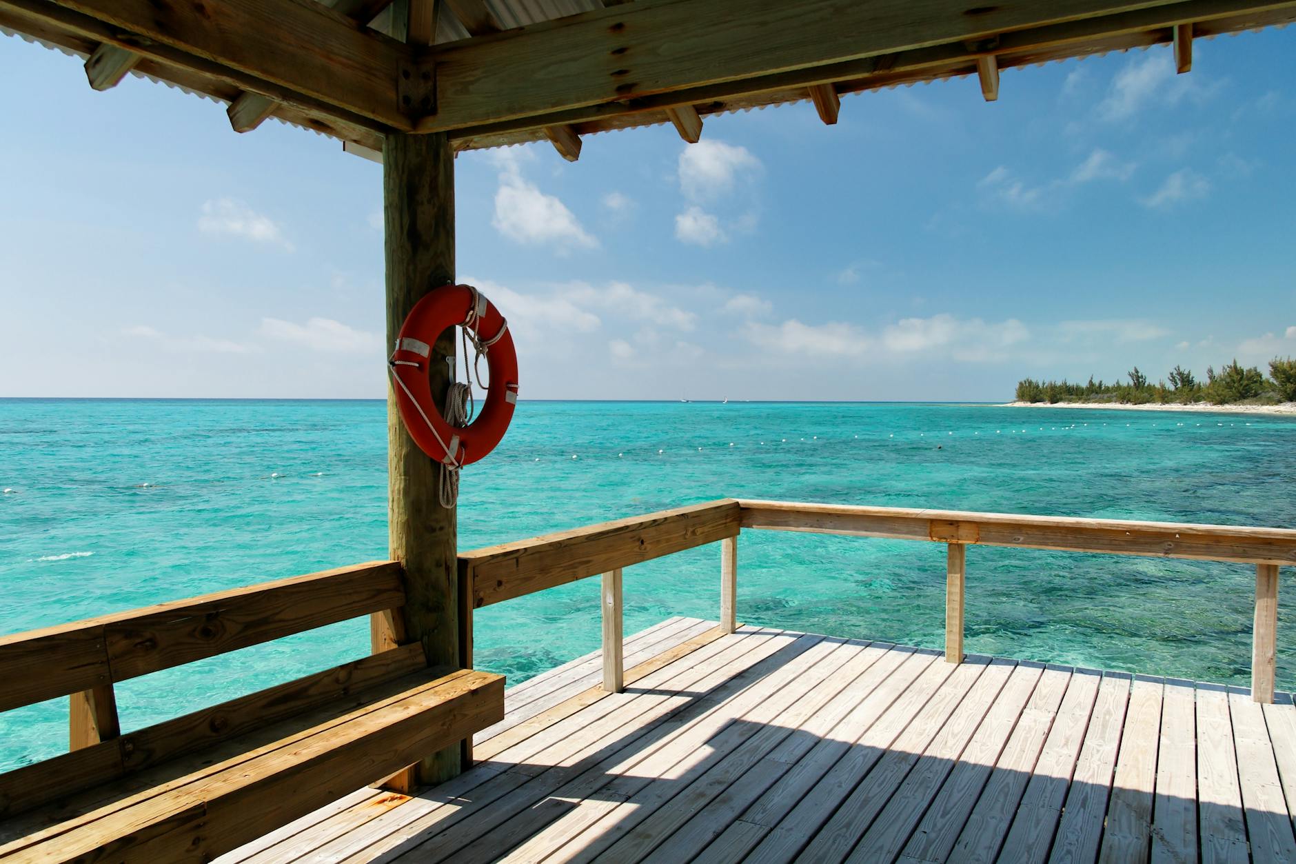 red and white lifebuoy on brown wooden dock