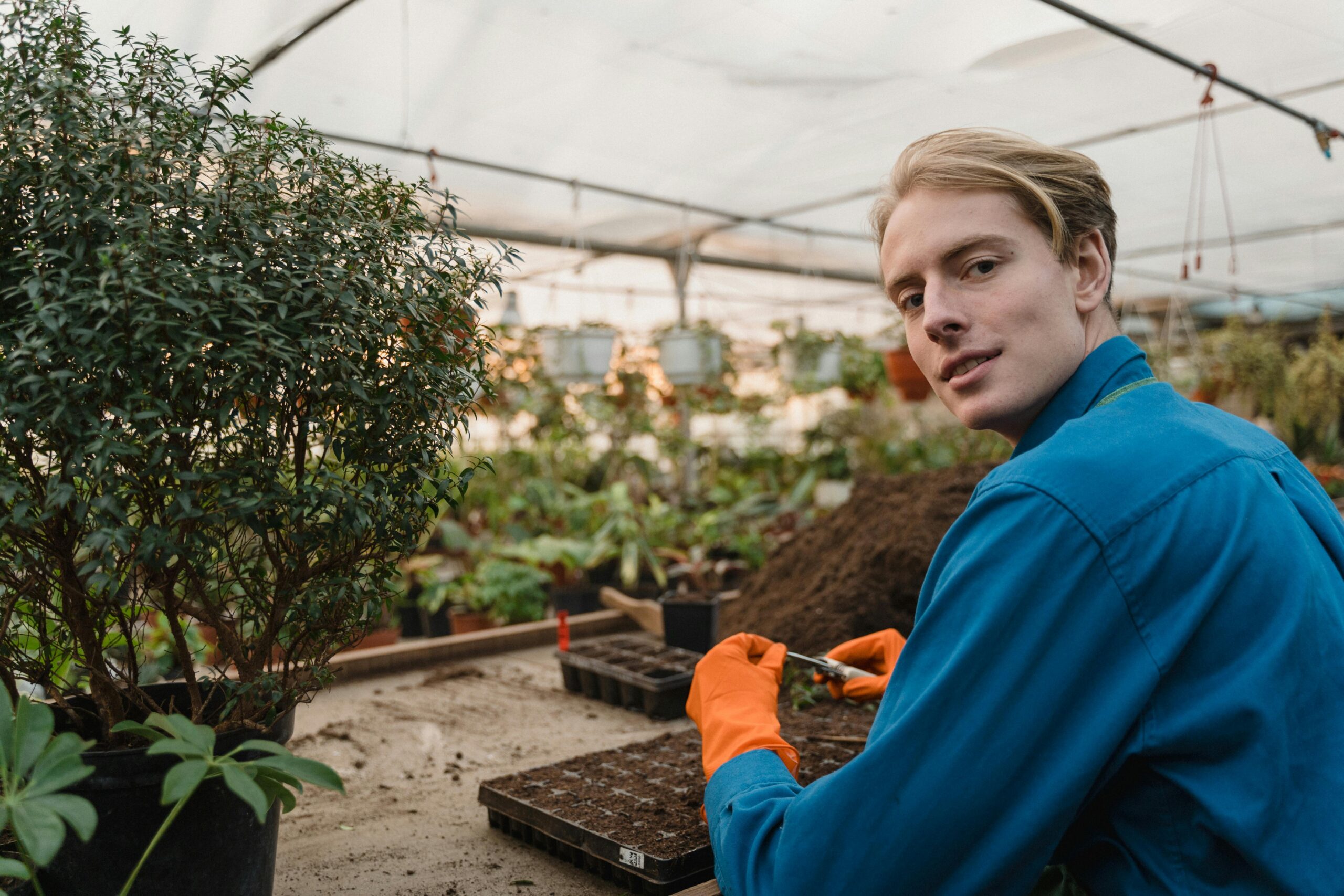 Kostenloses Stock Foto zu anbau, anstellung, arbeit